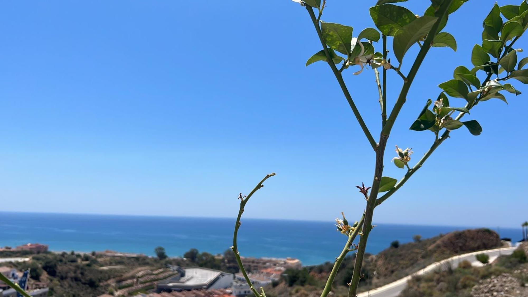 Rincon Idilia Apartment Rincón de la Victoria Екстериор снимка