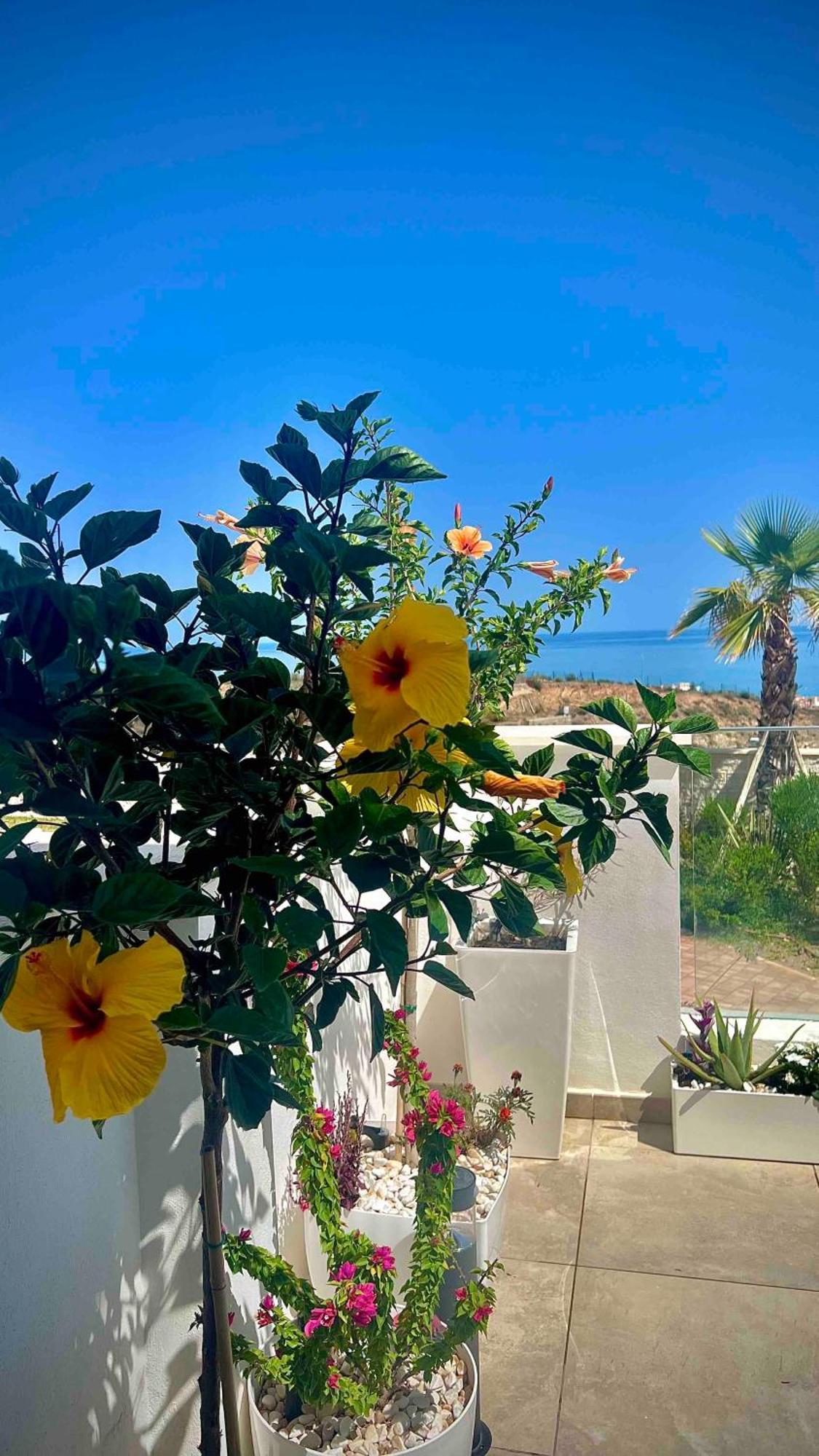 Rincon Idilia Apartment Rincón de la Victoria Екстериор снимка