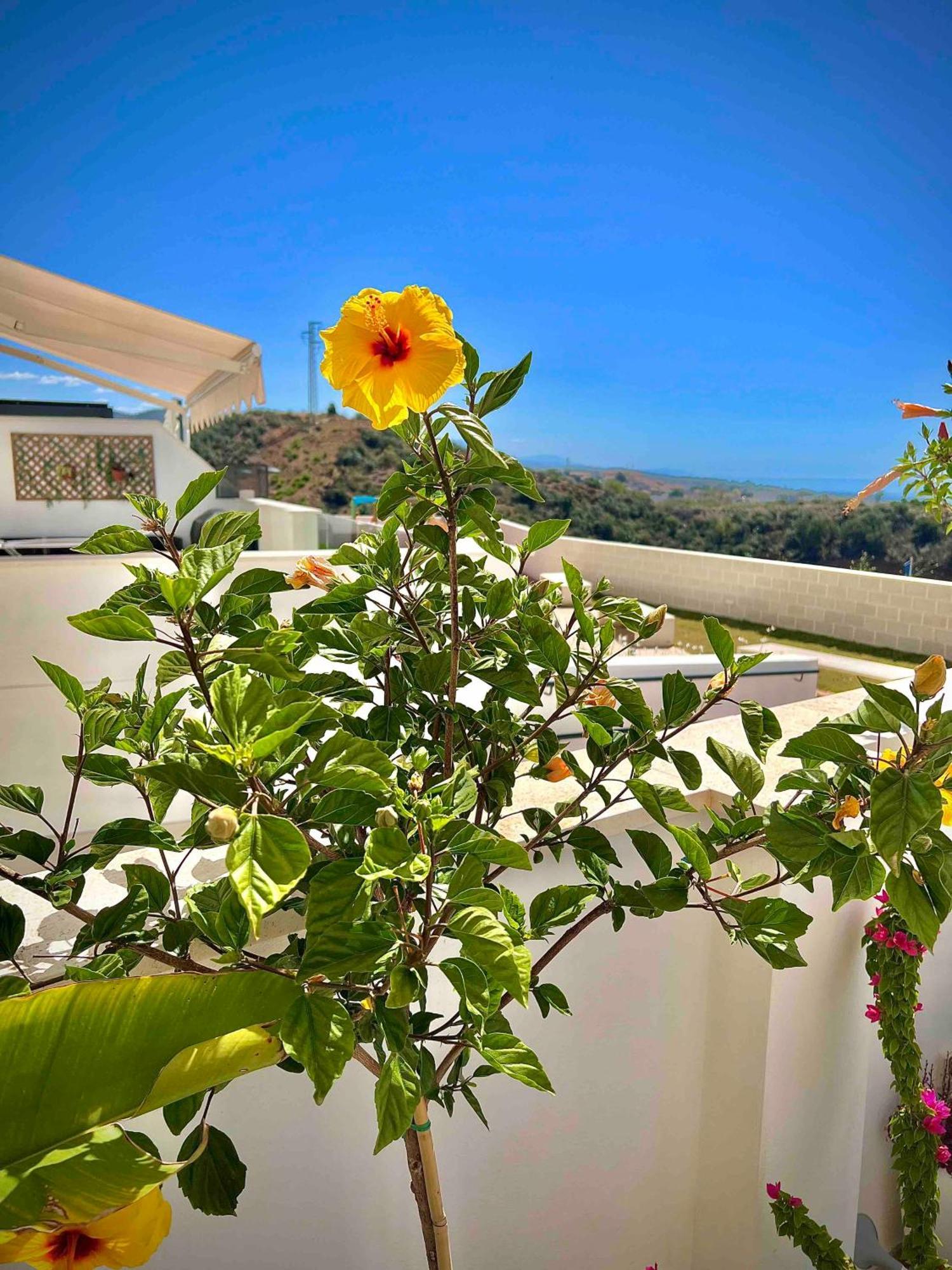 Rincon Idilia Apartment Rincón de la Victoria Екстериор снимка